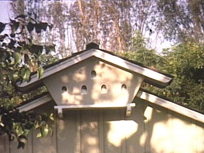 <i>Rossmoor</i> [video still], 2004, super 8mm film transferred to DVD, 238 minutes, edition of 100