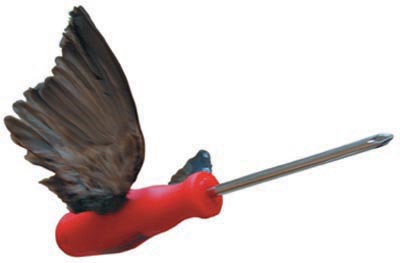 <i>Colibri</i>, 2001, screwdriver, birds wings, variable dimensions