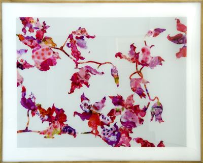 <i>Untitled (Allover III)</i>, 2003, acrylic and enamel paint behind Plexiglas, 49 1/2 x 61 inches (125.7 x 155 cm)