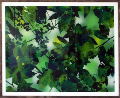 <i>Untitled (Foliage)</i>, 2005, acrylic and enamel behind Plexiglas, 31 1/2 x 39 3/8 inches (80 x 100 cm)