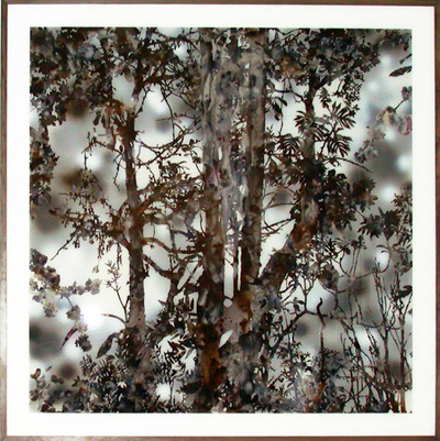 <i>Untitled</i>, 2006, oil, enamel and acrylic paint behind Plexiglas, 73 x 73 inches (185 x 185 cm)