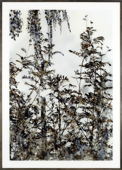 <i>Untitled (Marsh III)</i>, 2007