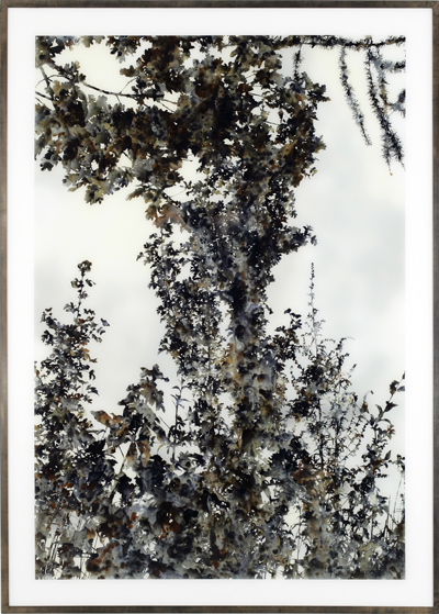 <i>Untitled (Marsh VI)</i>, 2007