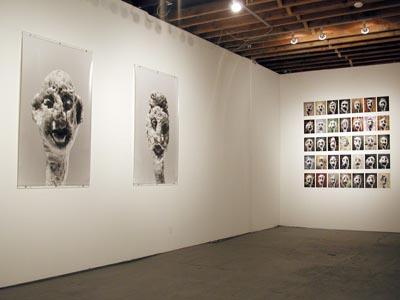View of the exhibition <i> GOB (catarrh among the living)</i>, 2001