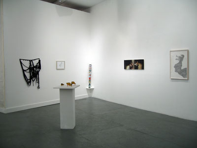 <i>From Brooklyn with Love</i>, exhibition view, Parker's Box, 2008