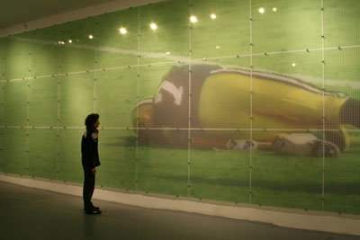 <i>Don Majkowski (Sunday, September 20th, 1992)</i>, 2007, thirty panels, Plexiglas, ultrachrome ink, overall: 33 x 12 x 1/8 feet (10 x 3.5 x 0.03 m)